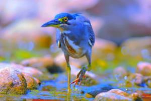 世界杯喝酒照片，一场狂欢背后的真相世界杯喝酒照片