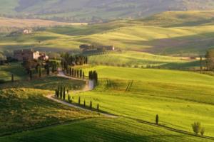 游戏世界杯游戏，一场充满乐趣与挑战的数字盛宴游戏世界杯游戏